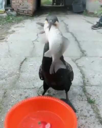 Lila was DONE counting calories for Stew