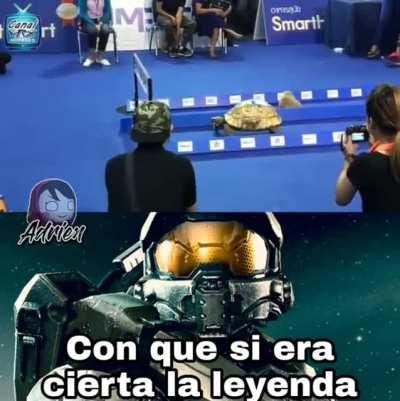 Tortuga GOD, conejo zzzz