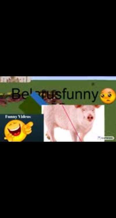 belarusfunny 148p🤔🤔🤔 no russians russia haram😡😡😡