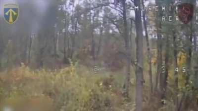 A russian soldier trying to hide next to a tree is spotted by a Ukrainian FPV drone. October 2025.