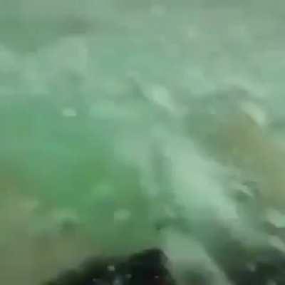 Gotta look before you jump…this guy has luck on his side…