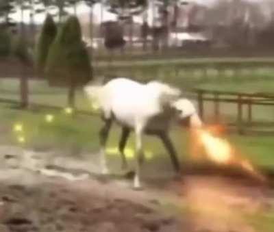 Violent h*rse spreads fear