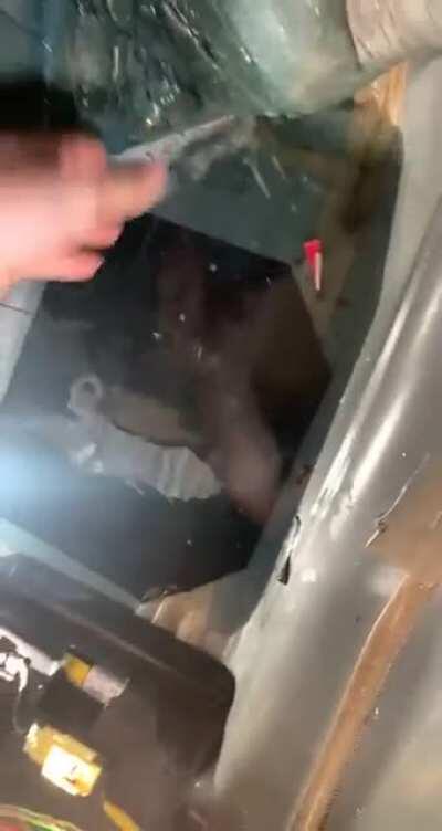 Jeeps put the washer hose too rear wiper in the wiring harness ¯\_(ツ)_/¯