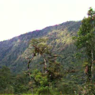 Views from my coffee farm