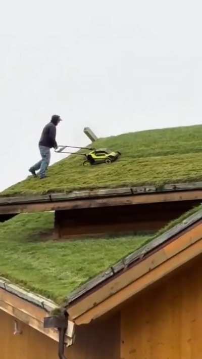 The Grass Is Always Greener On the Other Roof