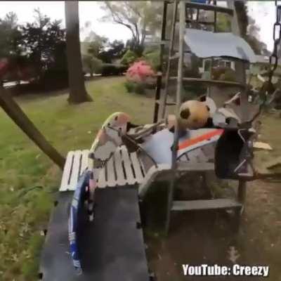 What have you done with your quarantine time?