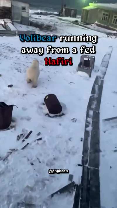 Volibear vs nafiri jung