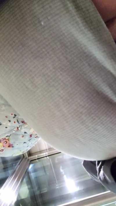 Wait for it... [GIF] [F] [OC]