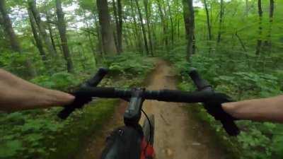 When you find some trails but you only have your gravel bike with you