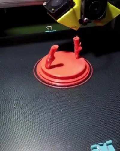This 3D print