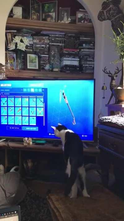 3 adorable minutes of kitten playing with a Fortnite Pickaxe - you’re welcome Reddit. (She’s almost fully recovered from being hit by a car in March and has a pin in her pelvis, this is the most fun she’s had in months bless her!)