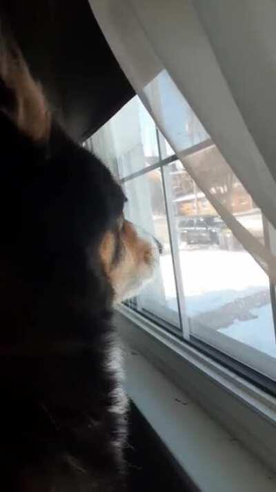 Theres a CAR and its MOVING!!!!