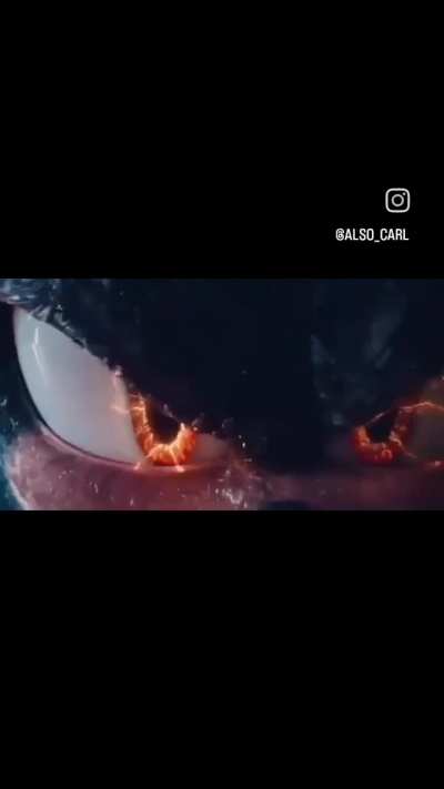 Shadow pulled the ultimate prank