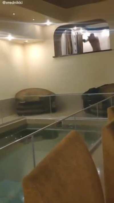 WCGW jumping from a high place into a pool with glass fence