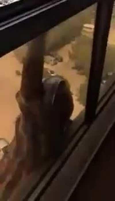 Who tf keeps filming?