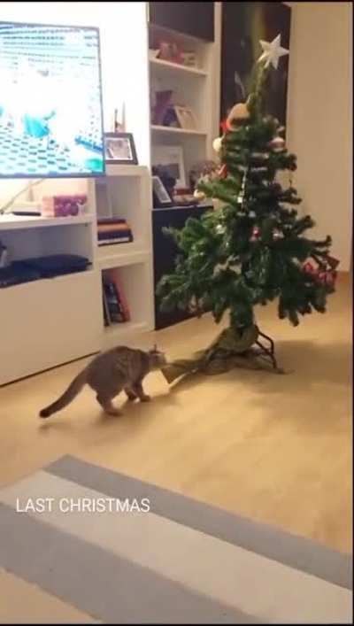 Has to do all the hard work myself