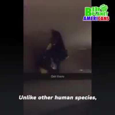 My personal favorite documentary