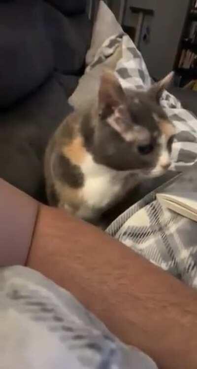 Excuse me, I need love!