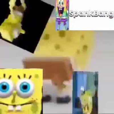 Bikini bottom twitter