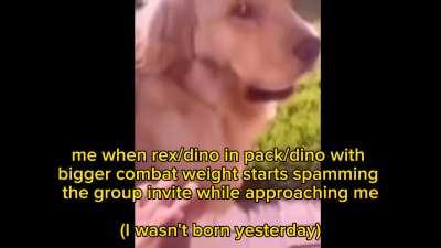 I'm sorry for truly friendly people who just act suspiciously, but my marks safety is on top 