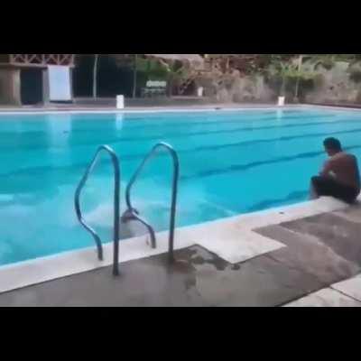 Peaceful but Harsh Death