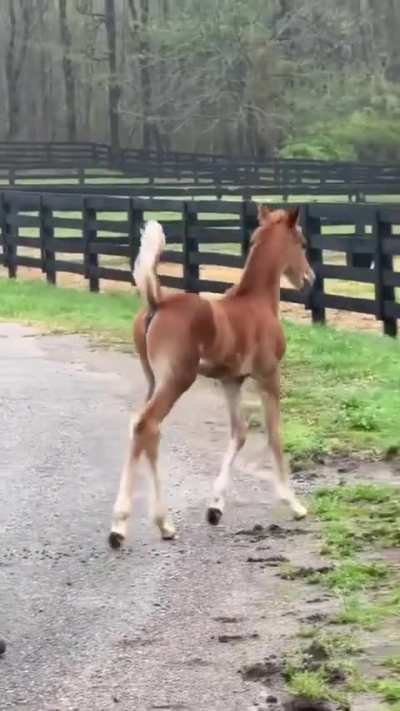 He knows he’s fancy!!