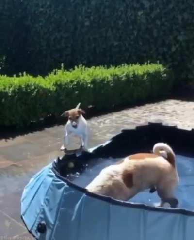 Too many awesome things about this video to name