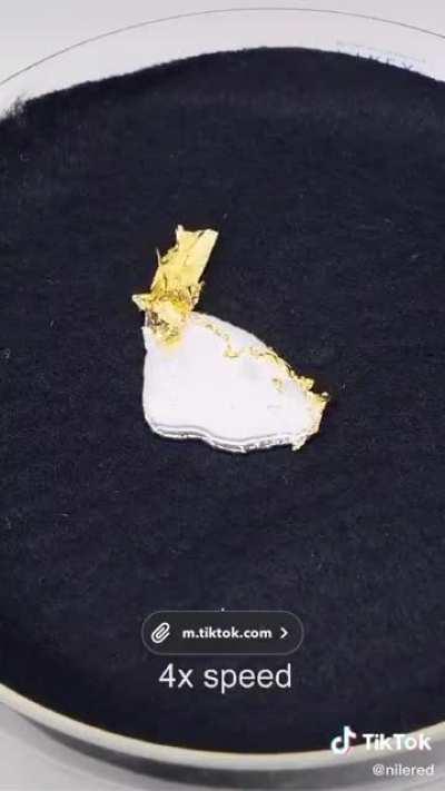 Me looking at next weeks chapter like:👀💦