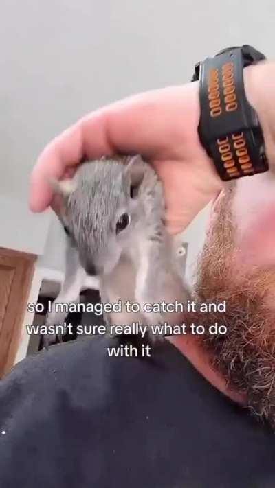 How to handle a menace