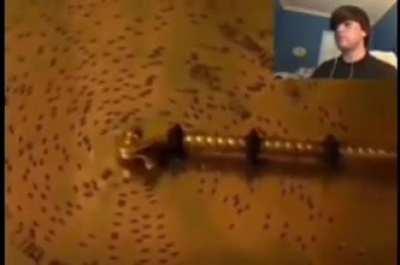 I'm 15 and this is yeet