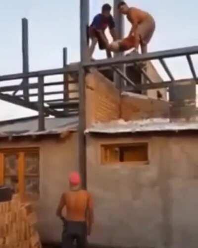 HMFT after I “play catch”