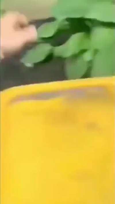 kkkkkkkkkkkkkkkkkkkkkkkkkk