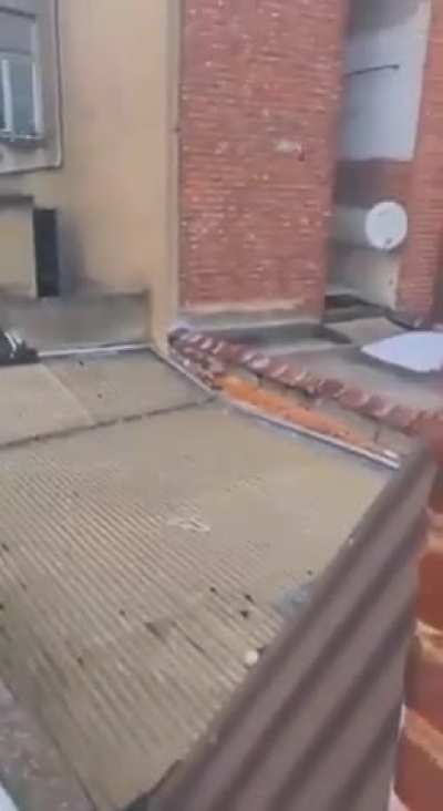 Gravity (and convienient cats)