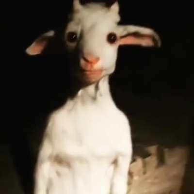 This video go hard and look terrifying at the same time.