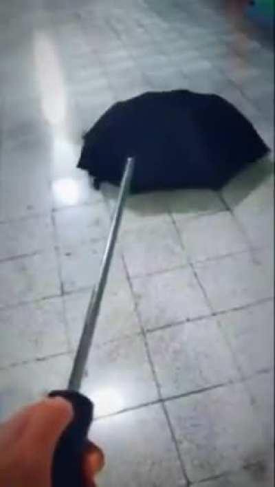 Spider umbrella, +100 destruction to everyone and everything that gets in its way