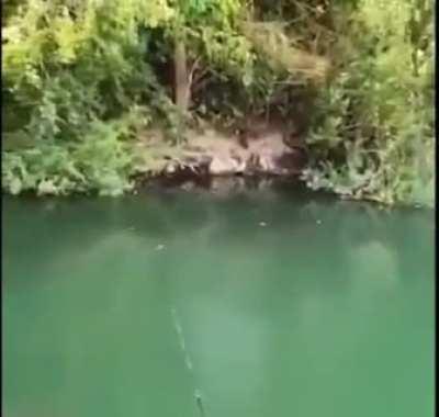 POV : You’re fishing in Norway