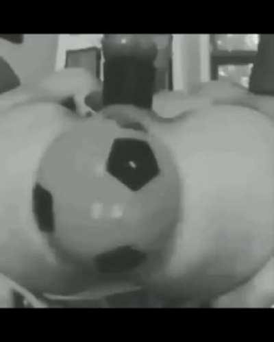 Saying Good Boy in Different Languages