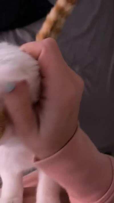 He taps when he wants love