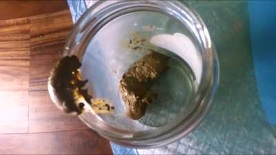 (F) Gassy wakes Classy up with the smell of her shit in the morning! 💩