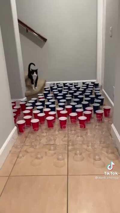 The last one just booked it