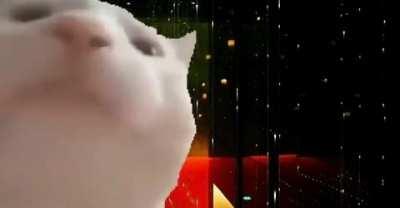 Fuck it, cat vibing to koi no yokan