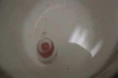 The sound that this red-hot ball of nickel makes when dropped into water