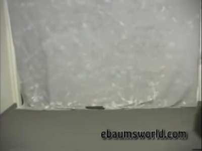 To Not Be One Of The Most Infamous Fails In Internet History