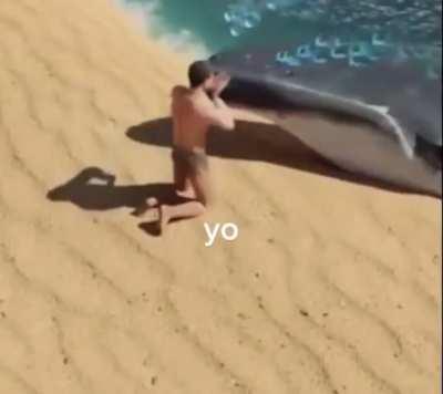 b&oacute; salvar umas baleias 😭