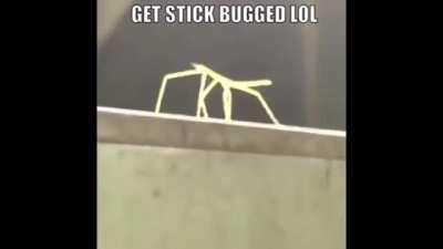 I made a 1 hr version of 