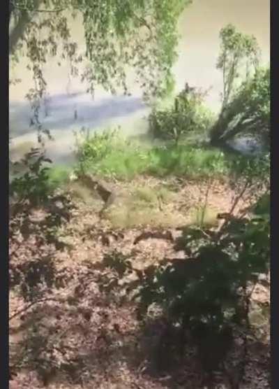 Don’t let your animals get close to wild ones.