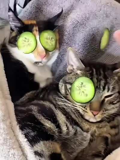 Just let us have our bubble bath