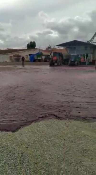 60,000 Bottles Worth of Wine Burst from a Broken Tank in Villamalea, Spain