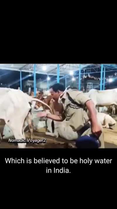 “Liquid courage”