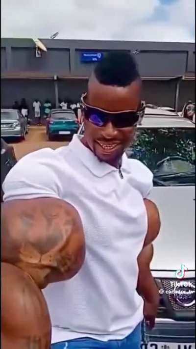 He's got a lion face on one of the arm oil bags